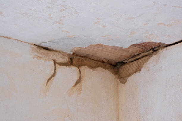 Best Sewage cleanup and water damage restoration  in Cleveland, WI