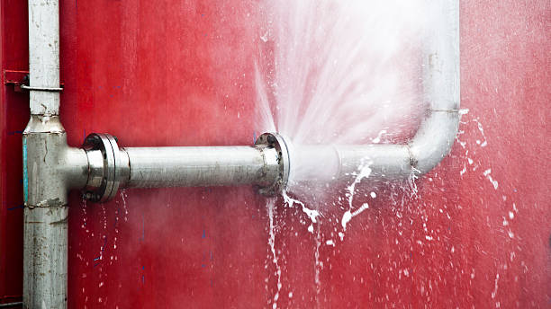 Best Local water damage restoration  in Cleveland, WI